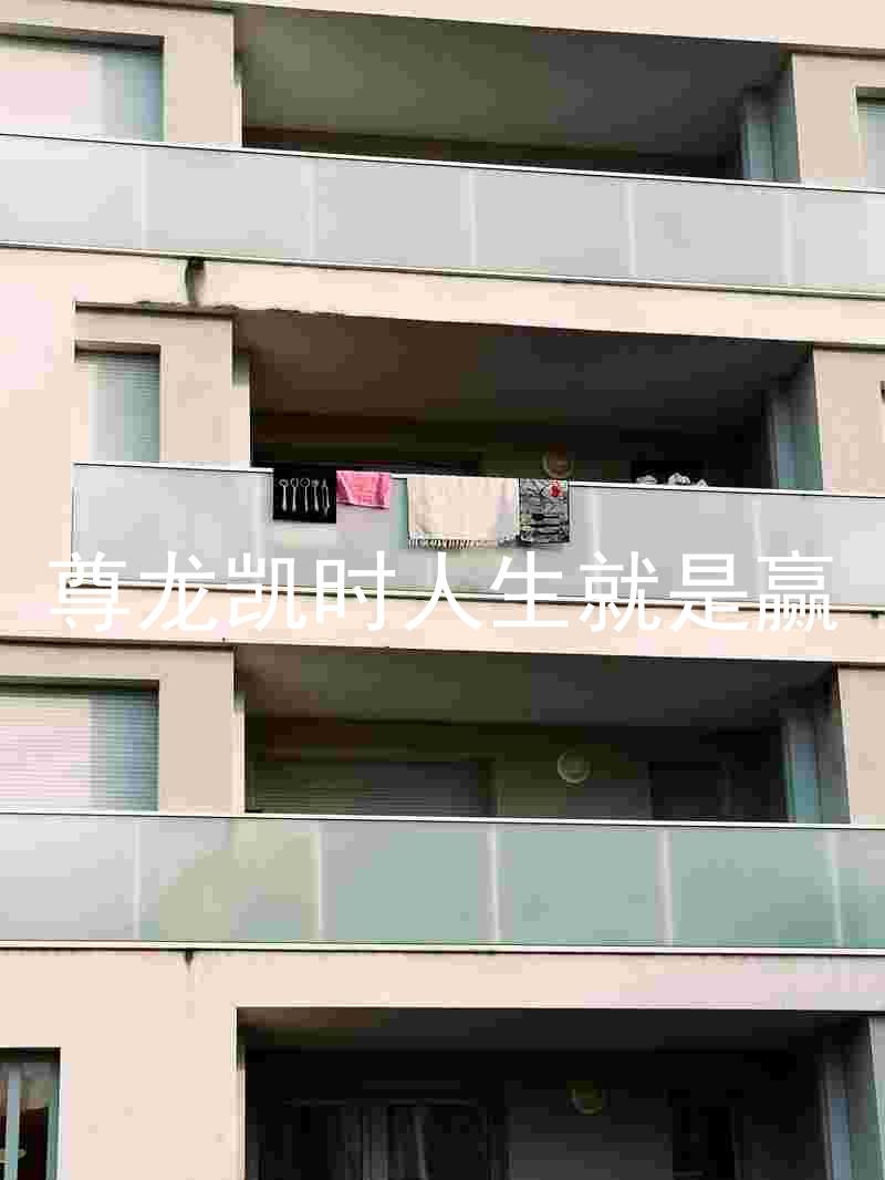 尊龙凯时人生就是赢