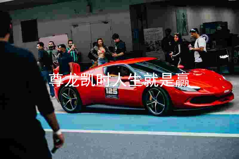 尊龙凯时人生就是赢