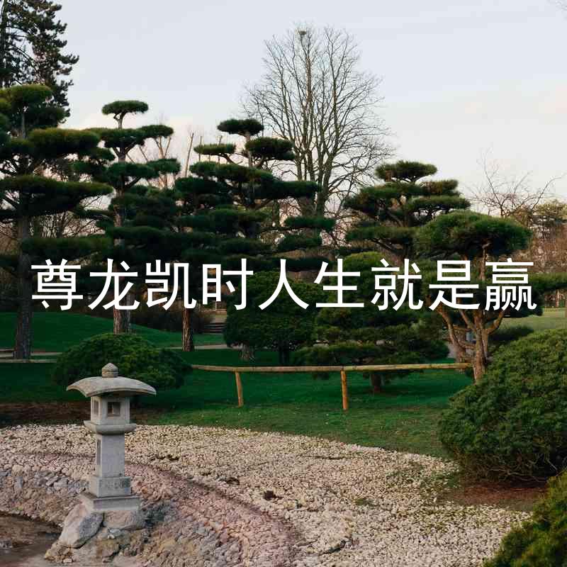 尊龙凯时人生就是赢