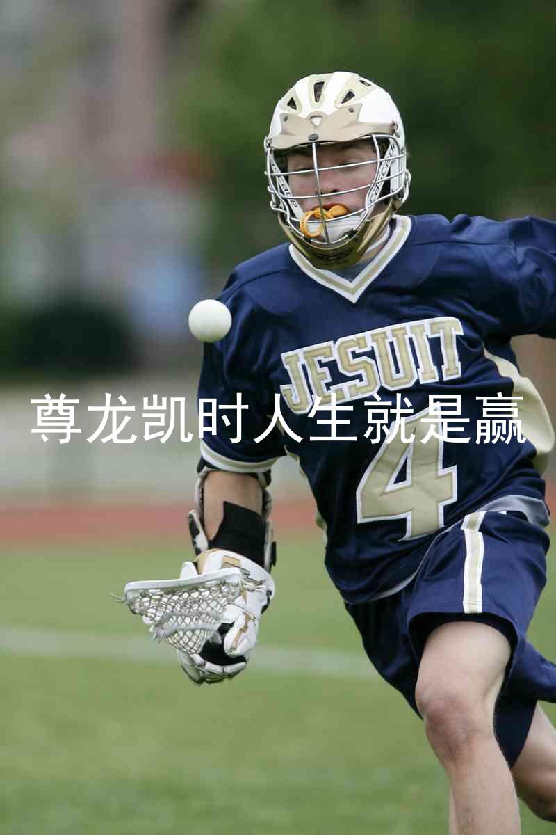 尊龙凯时人生就是赢