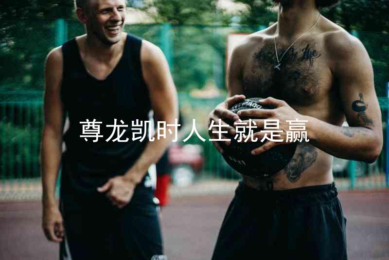 尊龙凯时人生就是赢