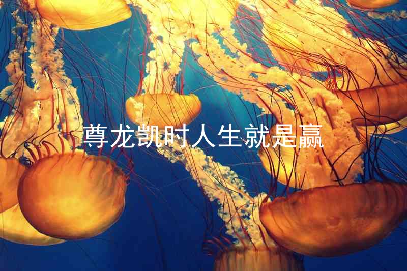 尊龙凯时人生就是赢