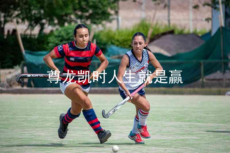 尊龙凯时人生就是赢