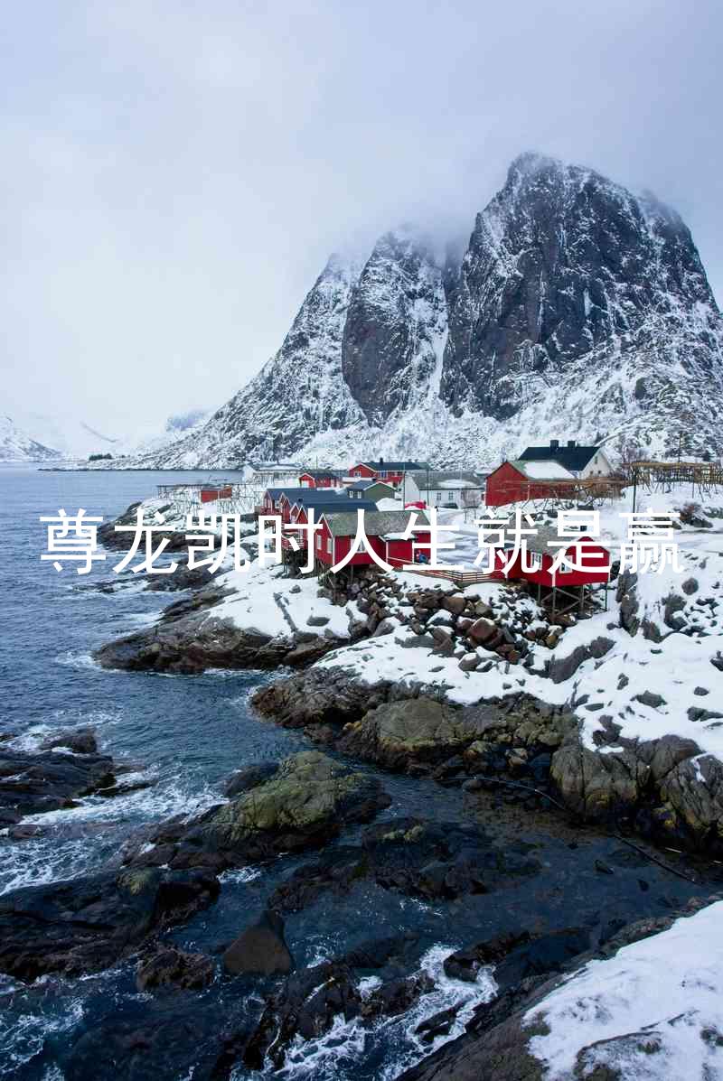尊龙凯时人生就是赢