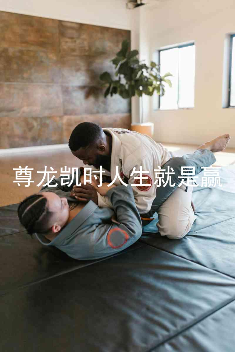 尊龙凯时人生就是赢