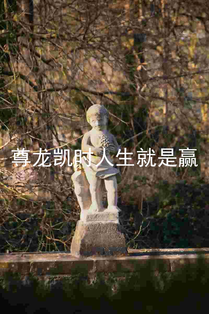 尊龙凯时人生就是赢