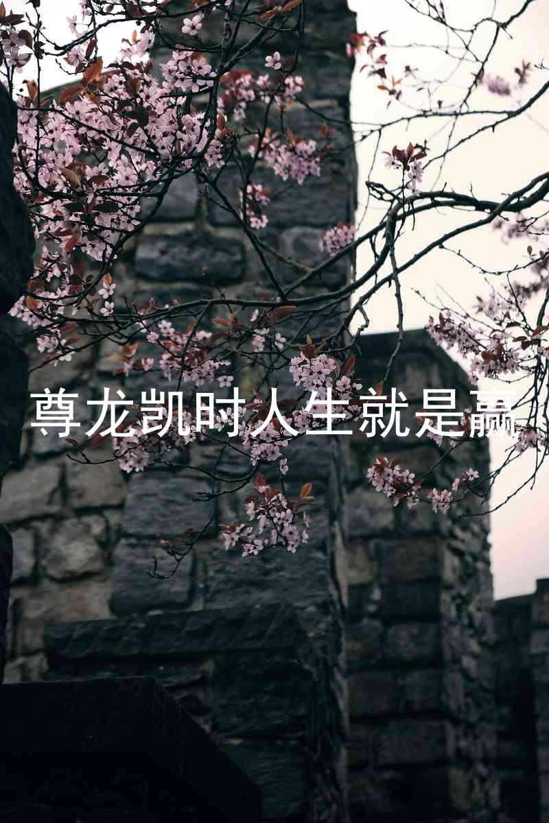 尊龙凯时人生就是赢